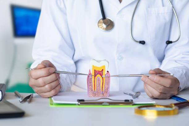 Best Urgent Dental Care for Toothache in Kellogg, ID